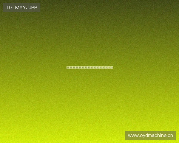 体球网手机版官网全新升级打造专业体育赛事数据与即时比分平台一流